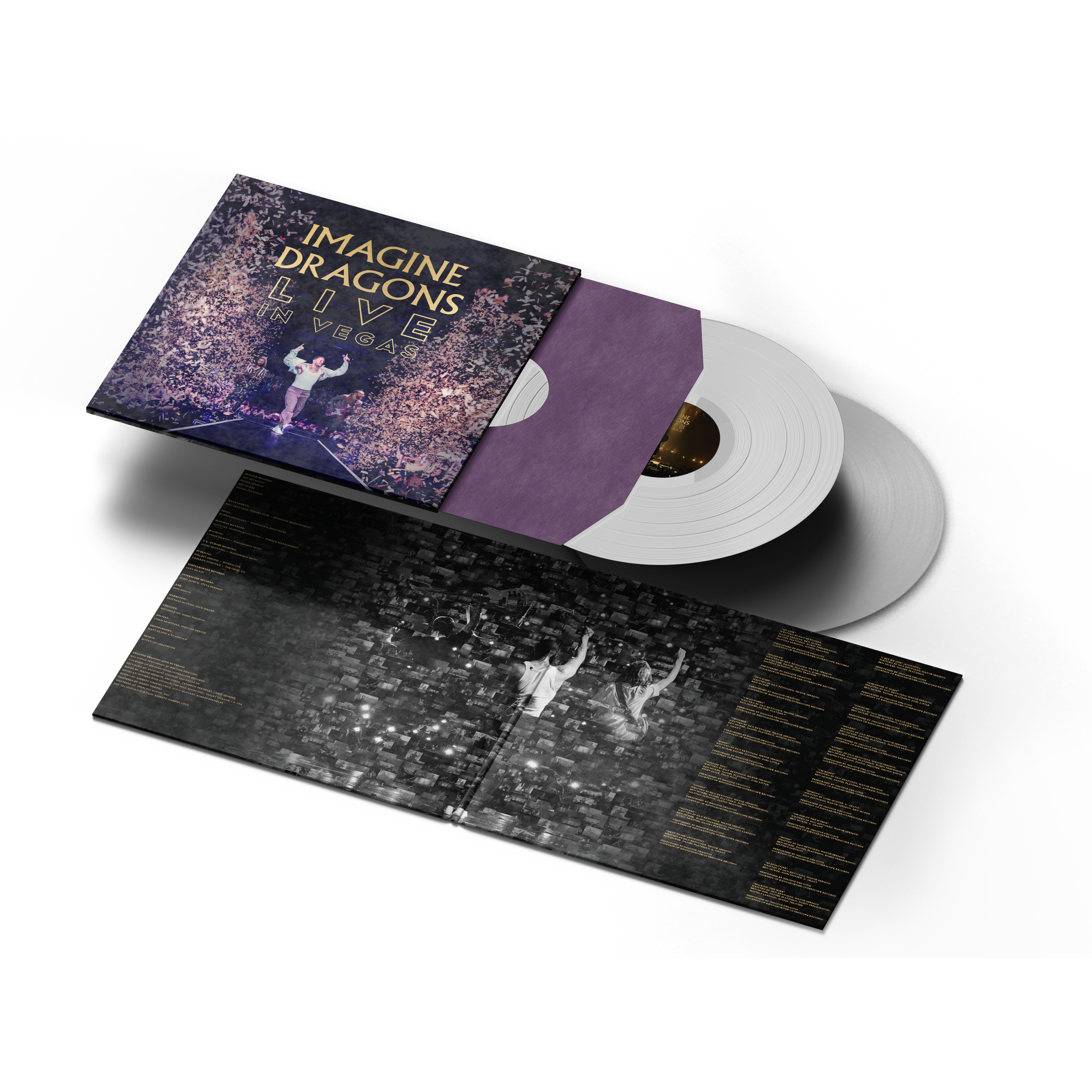 IMAGINE DRAGONS/LTD. EDITION CD GOLD DISC/RECORD/EVOLVE